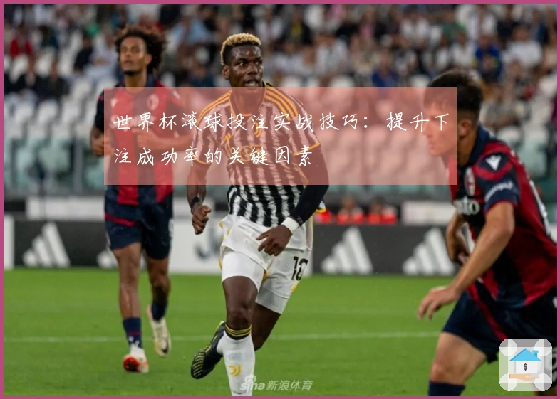 世界杯滚球投注实战技巧：提升下注成功率的关键因素
