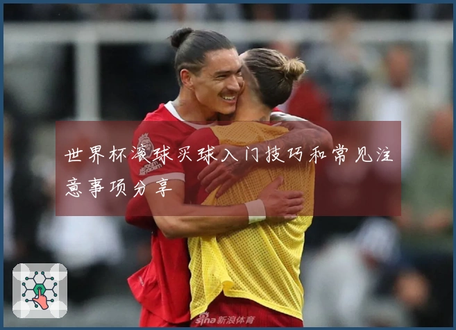 世界杯滚球买球入门技巧和常见注意事项分享