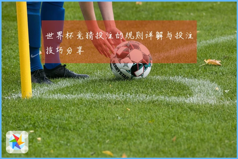 世界杯竞猜投注的规则详解与投注技巧分享